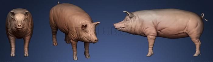 3D мадэль 3D Модель свиньи (STL)